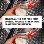 The Ultimate Guide to Cleaning Your Mattresses: Removing Dirt, Mould, and Odour