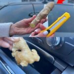 No More Rotten and Black Bananas After a Few Days: With This Method, They Will Last 2 Years