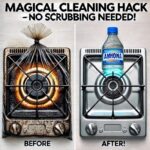 How to Prepare a Disinfectant Spray for Your Mattress to Eliminate Mites and Stains