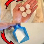 Put a Sponge in the Fridge: A Trick That Will Save You Money