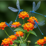 🌸🐦 Plant These to Attract Hummingbirds: Build a Blooming Oasis for Nature’s Jewels