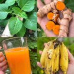 How to Plant Kiwi in a Pot – Step by Step (Easier Than You Think)
