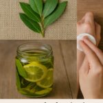 M.S. Décoration & Tendances: Your Daily Source of Inspiration