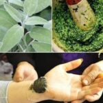 A Powerful Prostate-Purifying Smoothie: Natural Relief and Support After 40