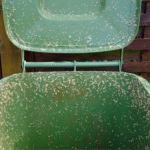 Just Two Tablets in July: Bury Them in Each Flower Pot and Watch Your Plants Turn Green Again and Bloom Magnificently