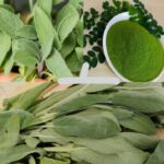 Introduction: A Simple Guardian for Your Home