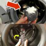 The Essential Washing Machine Maintenance Trick You’re Probably Overlooking