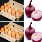 A Plate That Slipped Through: The Viral Case