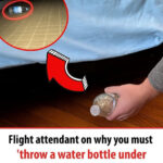 The Only Proven Method to Keep Bananas and Other Fruits Fresh for Longer