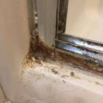 The Mystery of the Tiny Silicone Thing in the Sink: Unveiling a Household Enigma