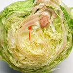 The Surprising Trick For Cleaning Toilets With Aluminum Foil You Wish You Knew Sooner: Why Aluminum Foil?