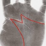 Most People Can’t Spot the Difference Between These – But the Impact Is Huge