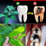 The Hidden History and Purpose of Coin Ridges: More Than Just a Groove