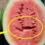 Life Just Got Simpler: This Hack Transforms Everything – The Ultimate Guide to Cleaning Your Front-Loading Washing Machine