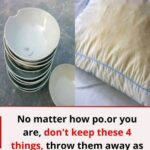 Why Should You Store Rags in the Refrigerator? This Unexpected Solution Will Make Your Life Easier!