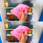 Before Leaving for Vacation, Put a Coin in the Freezer! This Trick Is Brilliant