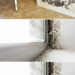 Why That Date Matters More Than You Think