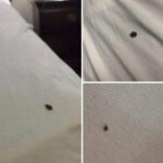 How to Clean Your Shower Door So It Stays Clean 3x Longer