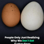 Don’t Even THINK About Touching These If You Spot Them on Your Plants — And Trust Me, You WILL See Them. My Neighbor Had No Clue What They Were… Thank God I Warned Her Just in Time