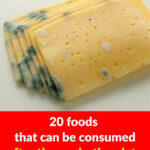 Don’t Even THINK About Touching These If You Spot Them on Your Plants — And Trust Me, You WILL See Them. My Neighbor Had No Clue What They Were… Thank God I Warned Her Just in Time