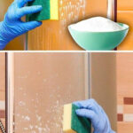 Last Night We Found This in Our Bed and My Husband and I Are Freaking Out: What Is It and How Do We Get Rid of Them?