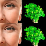 The Ultimate Comfort Dish: Hearty Ground Beef Stew with Carrots and Potatoes