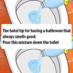 How to Clean Your Shower Door So It Stays Clean 3x Longer