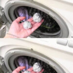 When a Lizard Visits Your House: The Hidden Meanings and Signs You Should Never Ignore