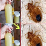 Why Cauliflower Soup Is a Weight Loss Superstar