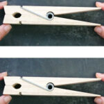 Why You Need Fast, Smart Pest Elimination