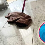 When a Lizard Visits Your House: The Hidden Meanings and Signs You Should Never Ignore