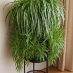 What Psychology Reveals When Someone Helps the Waiter Clear the Table