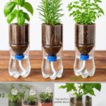 If You’ve Ever Seen These on Your Jeans, You’re Not Alone! The Truth Behind Those Annoying Ripples, Wrinkles, and Puckers