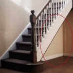 JUST 5 MINUTES | How to Make Mice and Rats “Disappear” Without Poison or Traps — Using (and Removing) Biscuit and Other Humane Methods