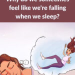 Le Dilemme des Chaussettes Blanches