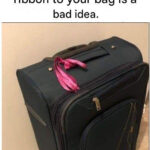 Why Your Dog Sleeps on Your Clothes and What It Means, According to Experts