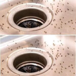 Discovering Timeless Elegance: The Vintage Marble Razor Knife Sharpener