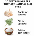 7 Essential Spider Plant Care Tips: For Everlasting Blooming and Breathtaking Beauty