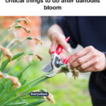 Why Water Rings Happen (And What They Really Do to Wood)