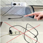 Eliminate Fleas, Ants, and Cockroaches Effectively with This Home Remedy