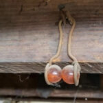 Why Your Dog Sleeps on Your Clothes and What It Means, According to Experts