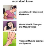 The Ultimate Guide to Making a Luscious Black Forest Cherry Cake: A Symphony of Flavor, Texture, and Tradition