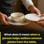 7 Essential Spider Plant Care Tips: For Everlasting Blooming and Breathtaking Beauty