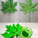 Ultra-Soft Cloud-Like Cake ☁️