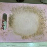 Our Ears Reveal the True State of Our Health