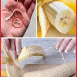 Cinnamon and Honey: The Most Powerful Remedy Even Doctors