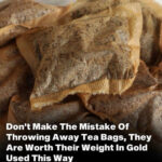 5 Easy Ways to Test Honey at Home — No.3 Even Surprised Beekeepers!