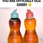 Put a Whole Roll of Toilet Paper in the Fridge (and Watch the Result)