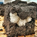 A Shiny Oven and Stove with This Cleaning Method: Zero Dirt in the Kitchen (Full Recipe)