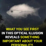 The Lifesaving Potato: An Unlikely Hero in Your Car